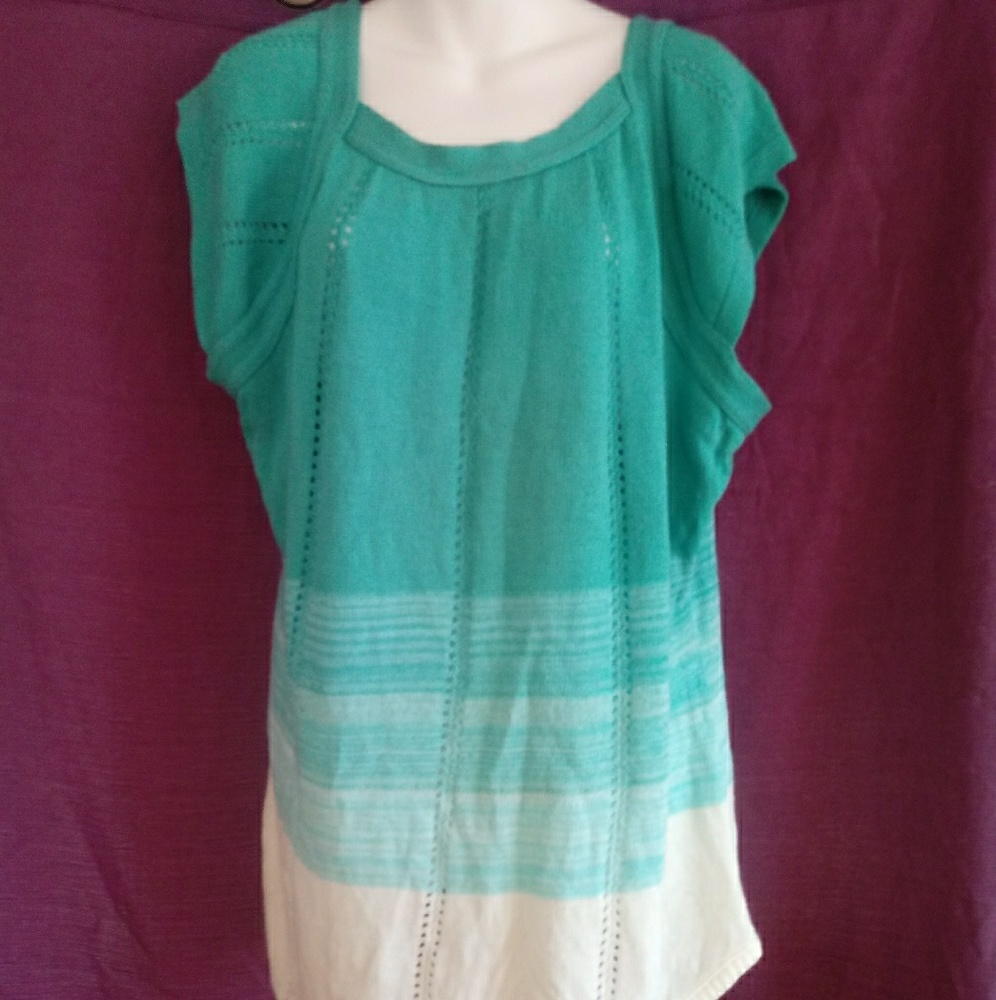 Beautiful Ashley Stewart Women's sweater blouse